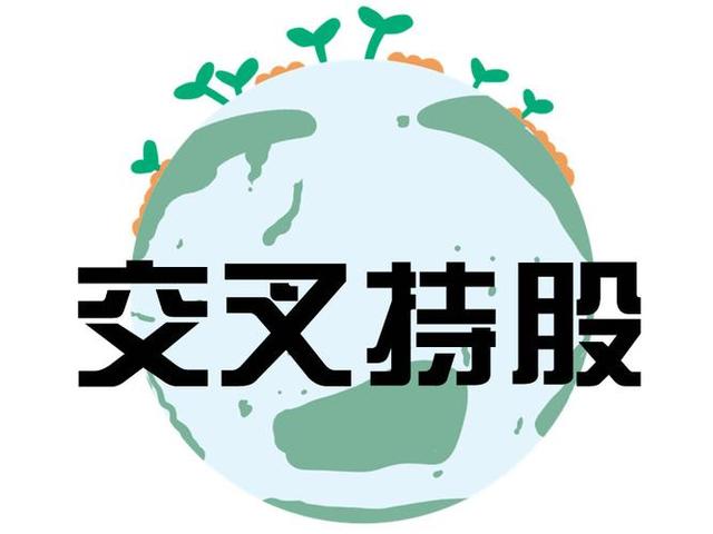 交叉持股安排设计(交叉持股怎么计算持股比例)宿州市